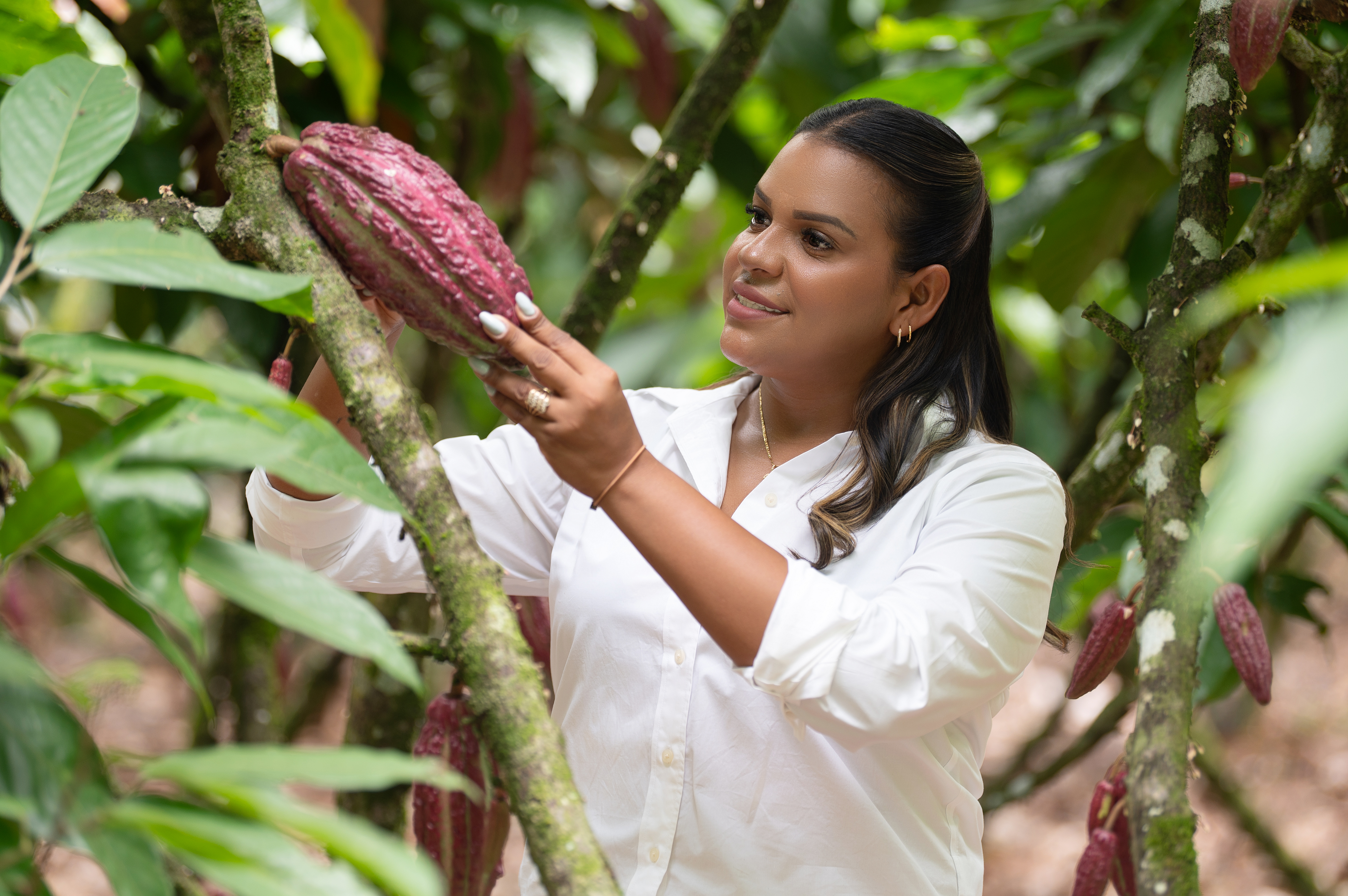 Cacao Fino de Aroma ExpoFranco
